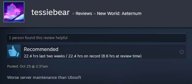 Image of the article titled New World: Eternal, as described in a Steam review